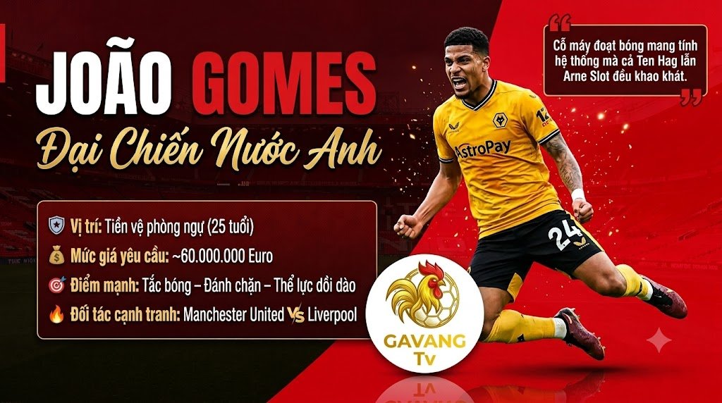 Hình ảnh tiền vệ João Gomes trong cuộc đại chiến chuyển nhượng giữa Manchester United và Liverpool. Điểm tin chuyển nhượng bóng đá mới nhất cập nhật tại Gavang TV.